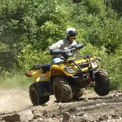 Person driving ATV in forest